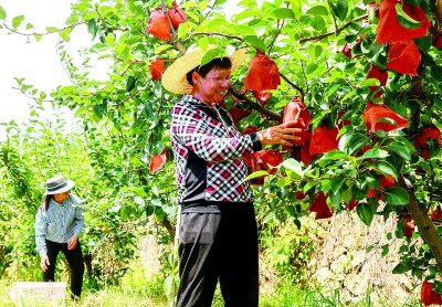 勞動成就夢想——勞動精神述評