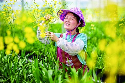 福建:用奮斗譜寫幸福新篇章