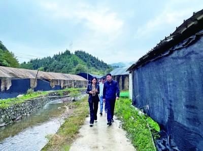 民有所呼,我有所應(yīng)