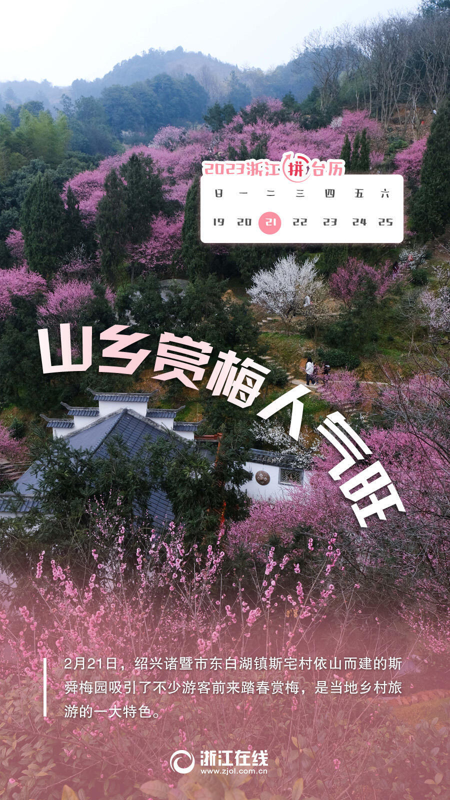 山鄉賞梅.jpg