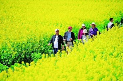 春光正好,鄉村旅游提質升級再出發